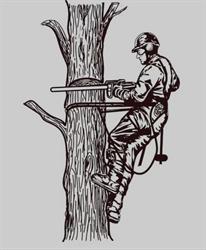 Plusieurs Cordes à son Arbre., Figeac - Horaires d'ouverture