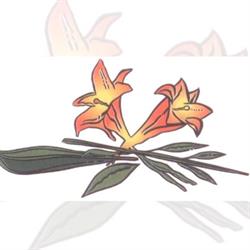 Aux Fleurs de Lys, Soucht - Horaires d'ouverture