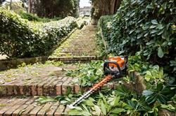 Bruno entretien taille de haie entretien de jardin, Rennes - Horaires d'ouverture
