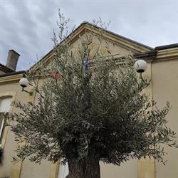 Mairie de Bourlens, - Horaires d'ouverture