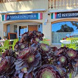 A Tavola Con L'Italia, Fréjus - Horaires d'ouverture