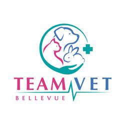 Clinique Vétérinaire Bellevue, Saint-Étienne - Horaires d'ouverture