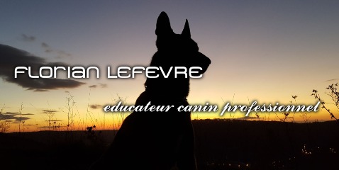 Florian LEFEVRE, éducation canine, Trieux - Horaires d'ouverture