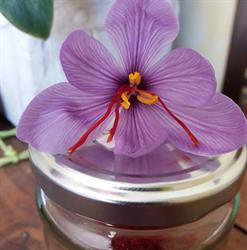 Les douceurs du Comtat CBD monteux Safran de Provence Bio, Monteux - Horaires d'ouverture