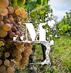 Domaine MIGOT, Lucey - Horaires d'ouverture