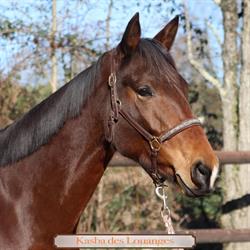 Domaine d'Olim's, Marcenais - Horaires d'ouverture