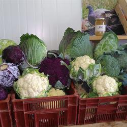 Délices du Potager, Poinville - Horaires d'ouverture