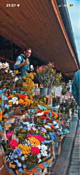 L'avenir En Roses, Argences - Horaires d'ouverture
