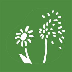Marguerites et Pissenlits, Beaulieu - Horaires d'ouverture