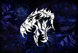 Raptor'ink Tattoo, Saint-Laurent-de-la-Salanque - Horaires d'ouverture
