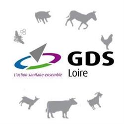 GDS Loire, Saint-Priest-en-Jarez - Horaires d'ouverture