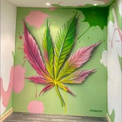 Greenhouse CBD Saujon, - Horaires d'ouverture