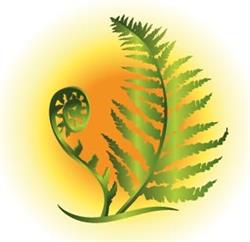 Valérie Augizeau - Les plantes qui chantent, Martinet - Horaires d'ouverture