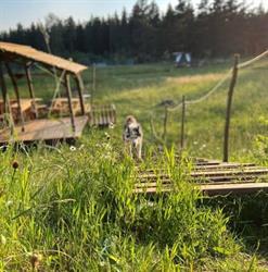 Camping La Tanière Des Loups, Sembadel - Horaires d'ouverture