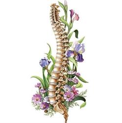 Kim Hoa Barutaut Chiropracteur, Mont-de-Marsan - Horaires d'ouverture
