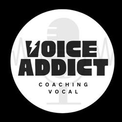 Voice Addict, Carcassonne - Horaires d'ouverture