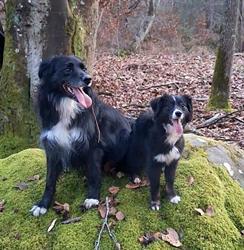 Mélie et compagnie, Arbonne-la-Forêt - Horaires d'ouverture