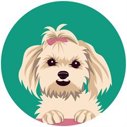 Apidog Toilettage, La Chevrolière - Horaires d'ouverture