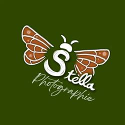 Stella Photographie, Norrent-Fontes - Horaires d'ouverture