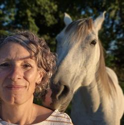 Anne Stéphan, Thérapeute Holistique, Hypnothérapeute, Cléguérec - Horaires d'ouverture
