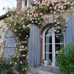 Le Pressoir Chambres d'Hôtes de Charme, La Selle-sur-le-Bied - Horaires d'ouverture