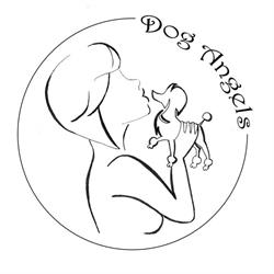 Dog Angels, Andrézieux-Bouthéon - Horaires d'ouverture