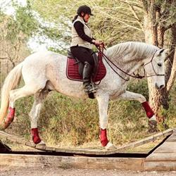 Un cheval.MA.DI, Colombiers - Horaires d'ouverture