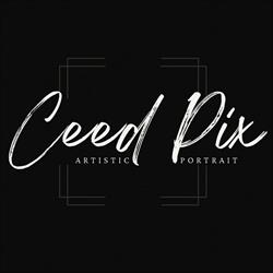 CeedPix, Perros-Guirec - Horaires d'ouverture