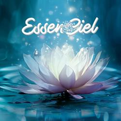 Vanessa EssenCiel Shiatsu Géobiologie, Montaigu - Horaires d'ouverture