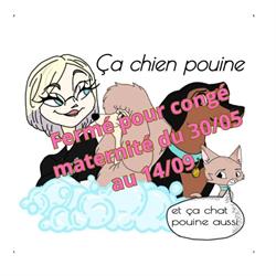 Ca_chien_pouine, Moulins - Horaires d'ouverture