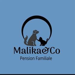 Malika&Co, Camors - Horaires d'ouverture