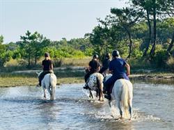Ranch des Lamberts 33, Moulis-en-Médoc - Horaires d'ouverture