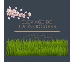 Elevage canin de la Poirodière, Montpon-Ménestérol - Horaires d'ouverture