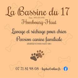 La Bassine du 17 - Hombourg-Haut, - Horaires d'ouverture