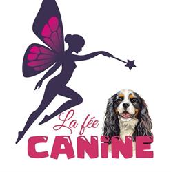 La Fée Canine by Peggy Delfosse, Hesdin - Horaires d'ouverture