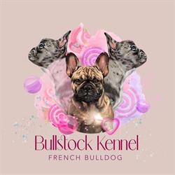 Bullstock Kennel, Cléden-Poher - Horaires d'ouverture
