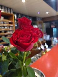 Le Café des Randonneurs, Crasville-la-Rocquefort - Horaires d'ouverture