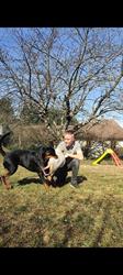 Calléjas Education Canine, Les Avenières - Horaires d'ouverture