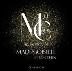 Mademoiselle et son chien, Aix-en-Provence - Horaires d'ouverture