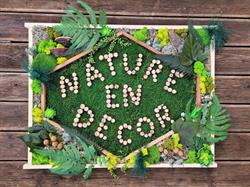Nature en décor, Rochejean - Horaires d'ouverture