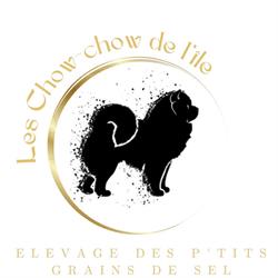 Les chow-chow de l’île - Elevage des p’tits grains de sel, Noirmoutier-en-l'Île - Horaires d'ouverture