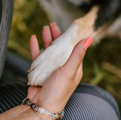 Elodie Keller Educateur Canin, Veuvey-sur-Ouche - Horaires d'ouverture