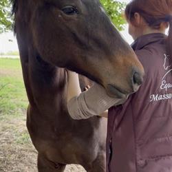 Equi Stora - boutique, Hirsingue - Horaires d'ouverture