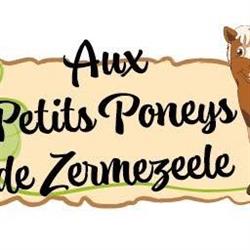Aux petits poneys de zermezeele, Zermezeele - Horaires d'ouverture