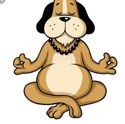 Reiki dog, Lens - Horaires d'ouverture