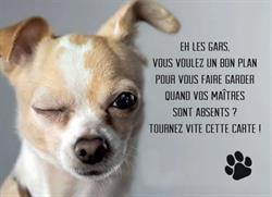 Gard'n Dog, Palleville - Horaires d'ouverture