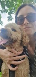 Alex'n'Paws Petsitters, Lons - Horaires d'ouverture