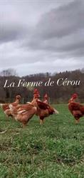 La Ferme de Cérou, Saint-Germain-les-Vergnes - Horaires d'ouverture