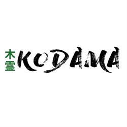 Librairie Kodama, Toul - Horaires d'ouverture