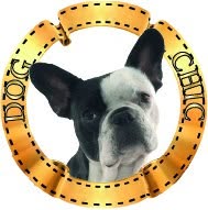 Dog O Chic, Alès - Horaires d'ouverture
